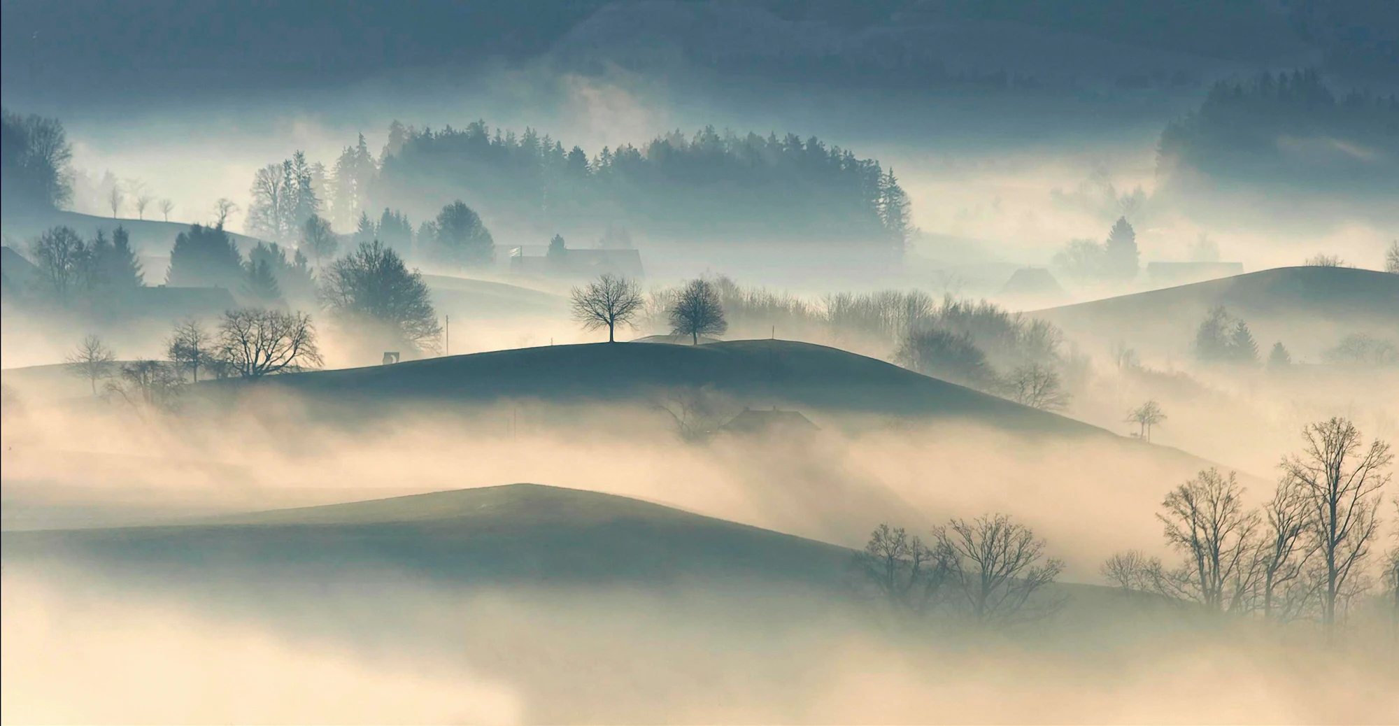 Rolling hills and trees in morning mist